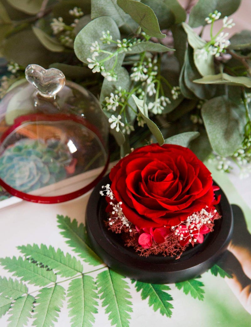 DuHouse Forever Roses Preserved Real Flowers Eternal Enchanted Rose Flower Box for Valentines Gifts Birthday Anniversary Christmas (Red) - Image 5